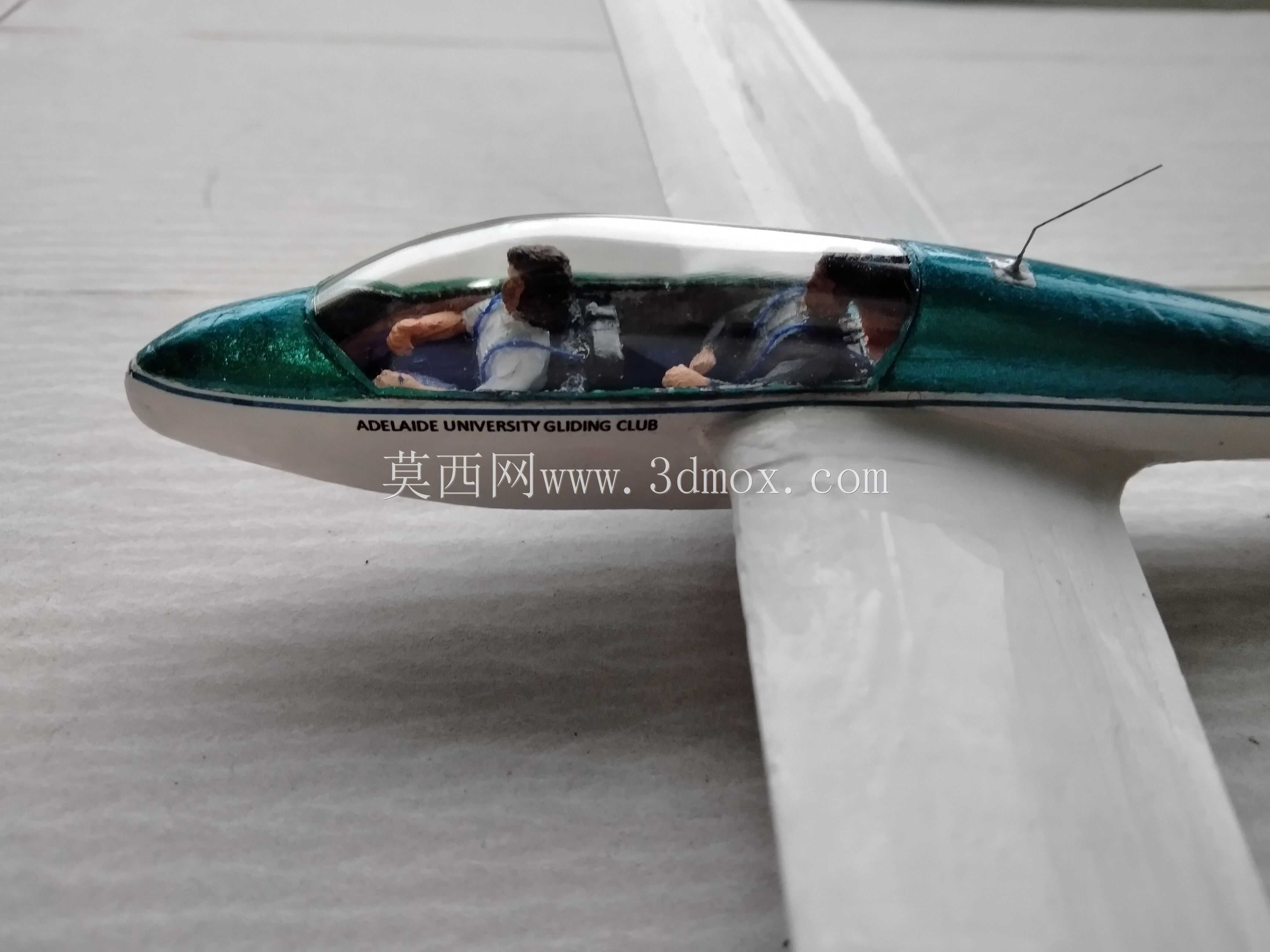Schleicher ASK-13