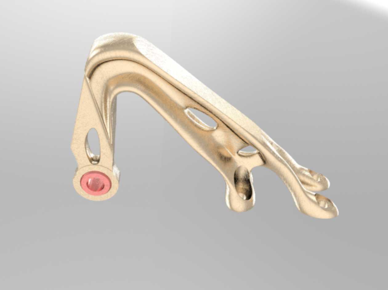 WISHBONE��Ŀ