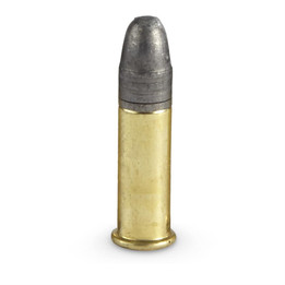 .22 LR