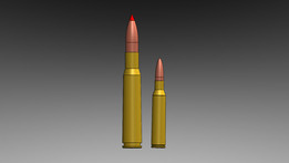 .50 BMG��ը��ʬ�غ�