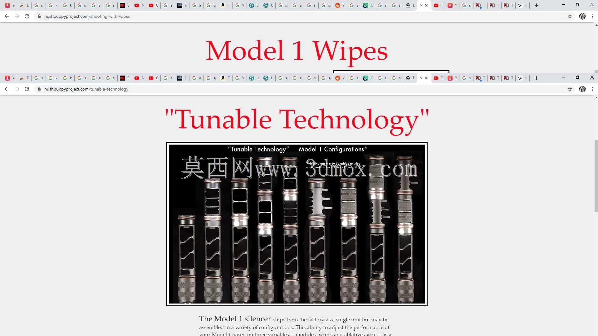 Hushuppy消音器