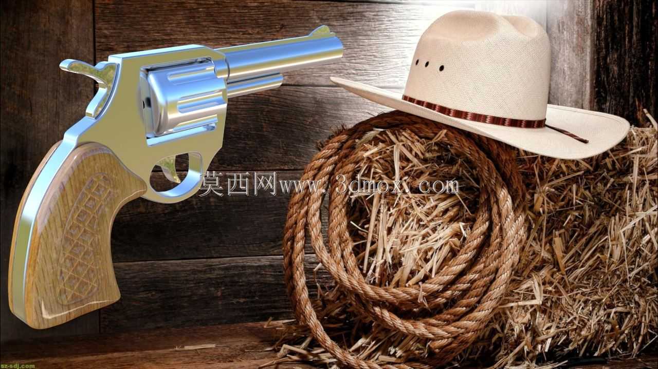 ʷ��˹����ɭǹ