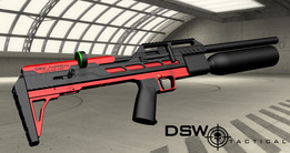 DSW_ս��2021��PCP��