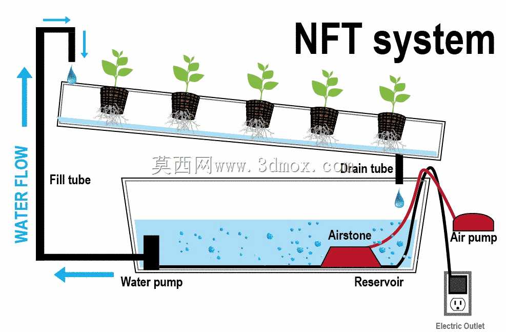 薄水膜架