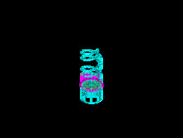 ˫����β���ɴ����ṹ
