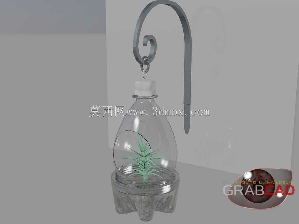 DIY terarium(Tilandsia airplant)(拒收#704)