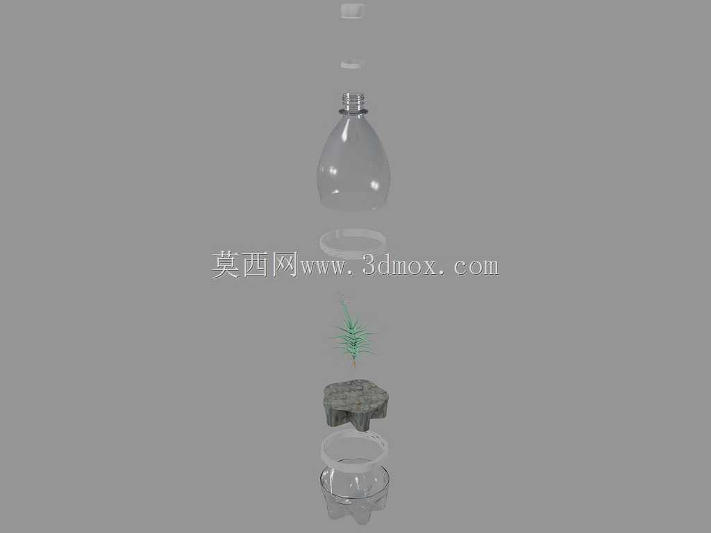 DIY terarium(Tilandsia airplant)(拒收#704)