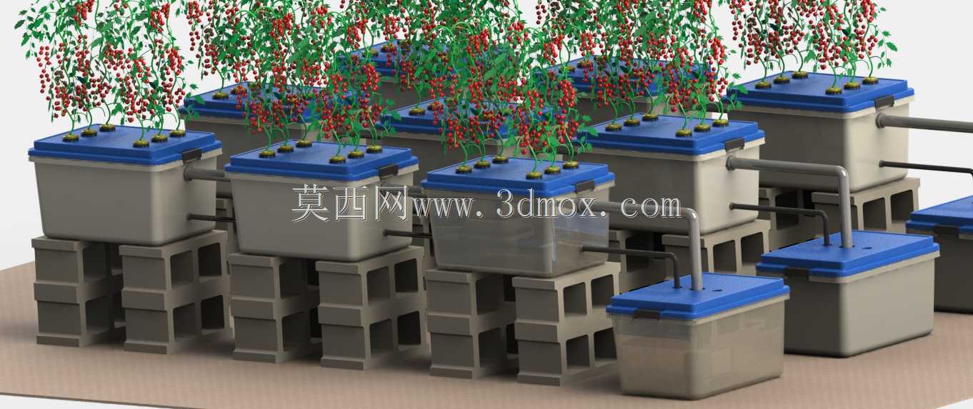 HDROPONICS\u0026����ͻ���HDROPONICS��Ŀ