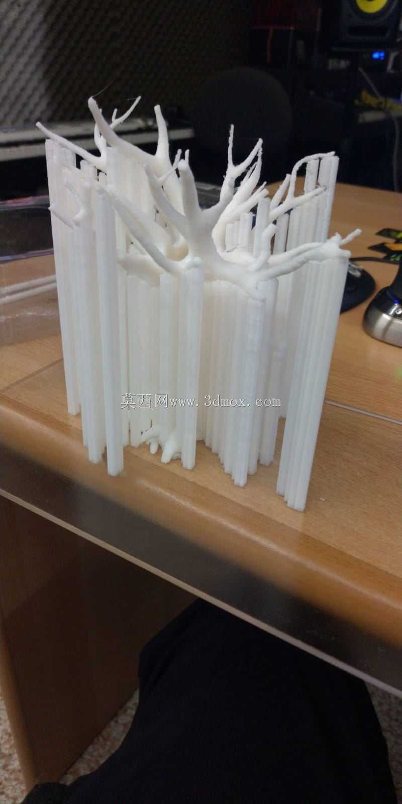 树阿尔贝罗酒店