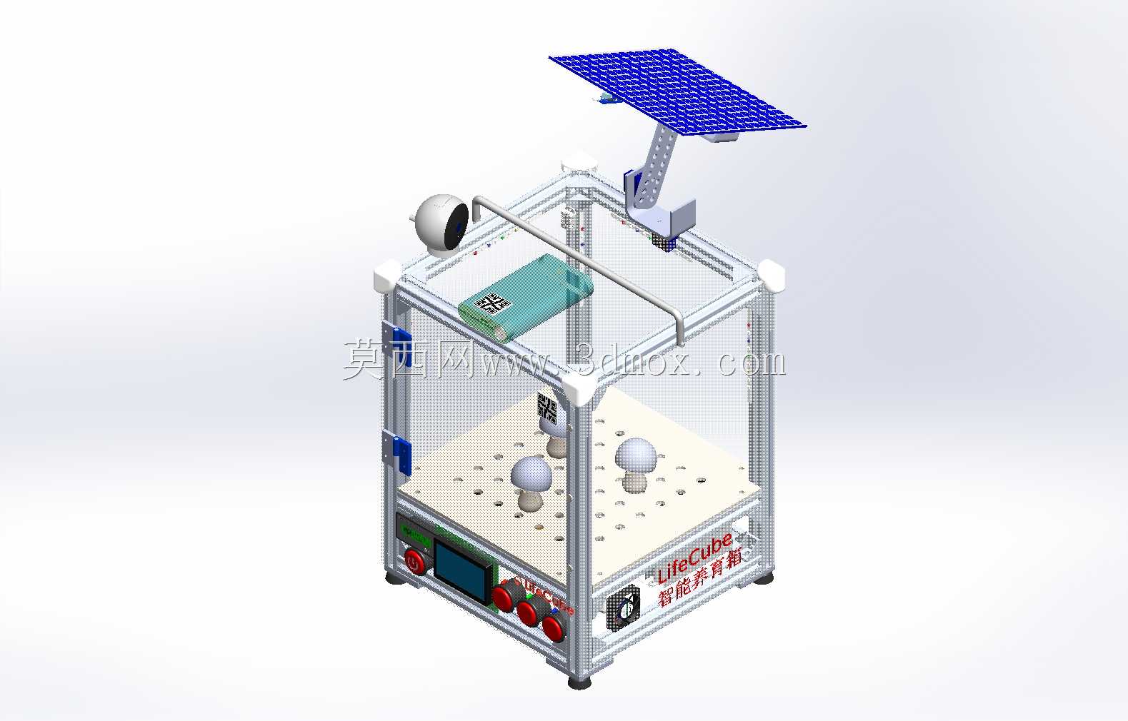 lifecube