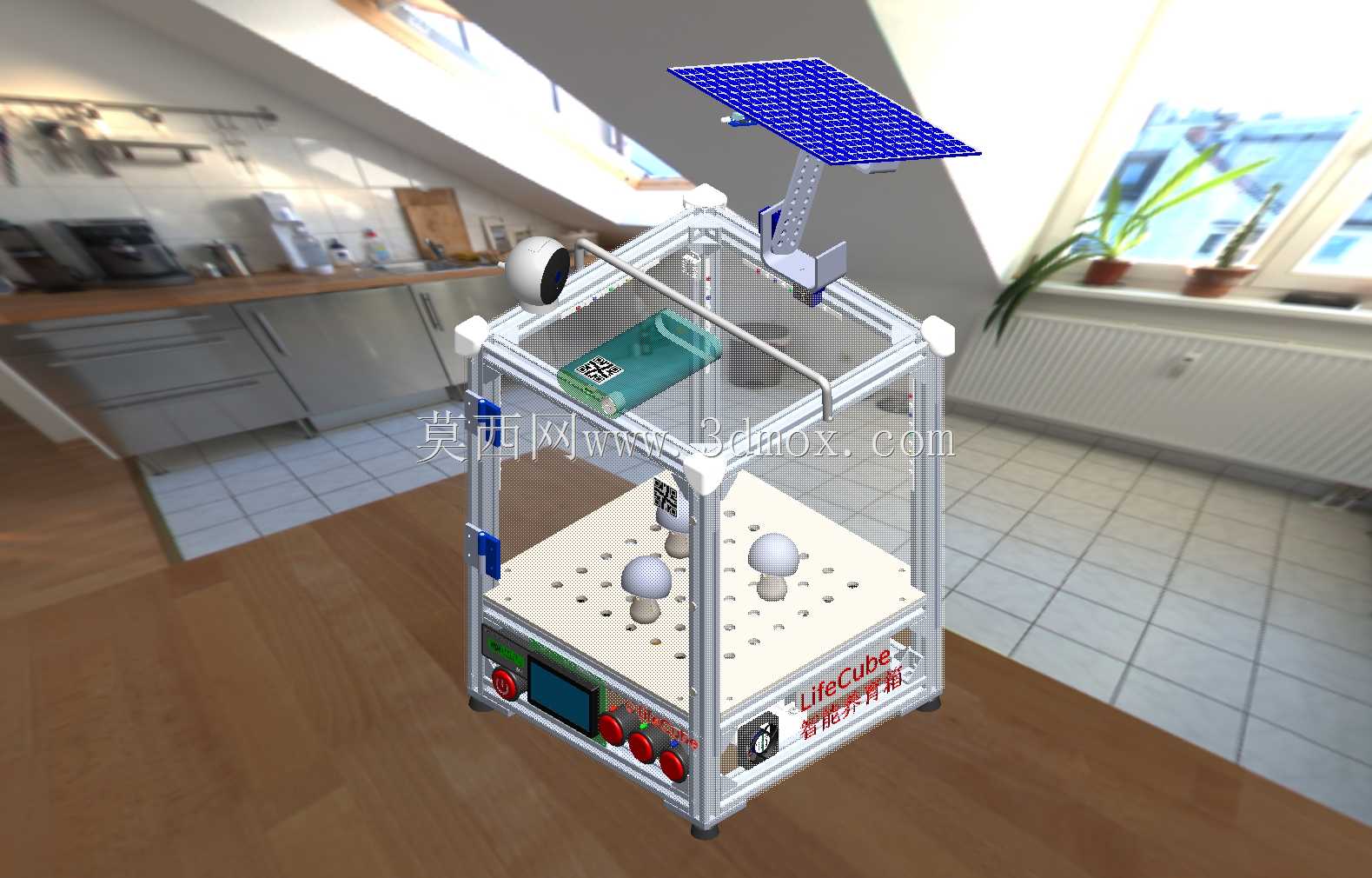 lifecube