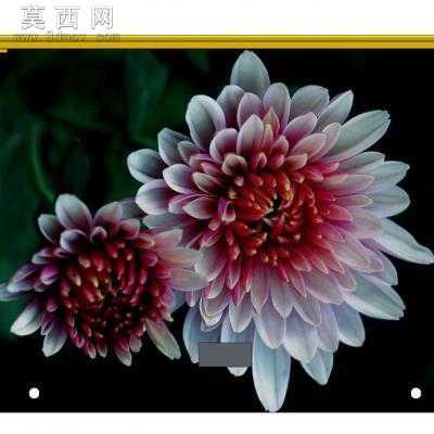 BQ6800G-A09-5507300 左三仓门 3D模型