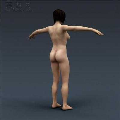 准确全面解剖人体3d模型集 3D模型