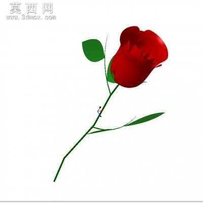 flower õ�廨 3Dģ��