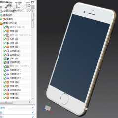 肾六3D模型 3D模型