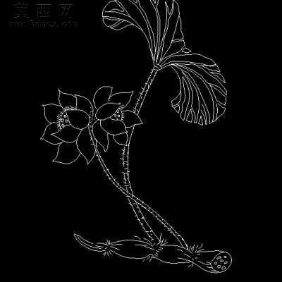 并蒂同心 荷花莲藕图 CAD图纸