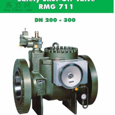 �¹�RMG��˾����ȫ��