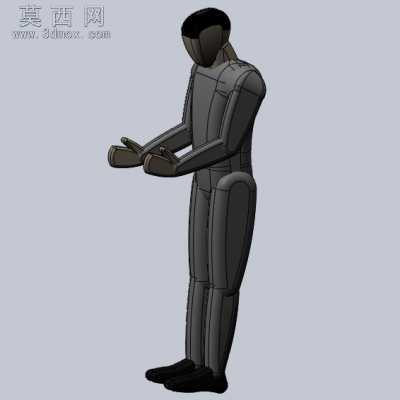 ������������ģ�� 3D