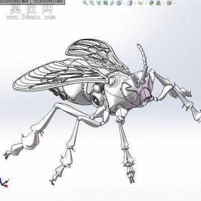��е�۷����˻� 3Dģ