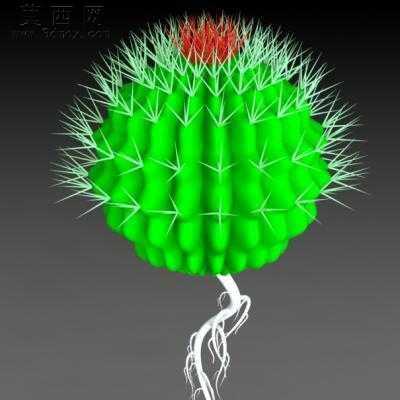 ������ 3Dģ��