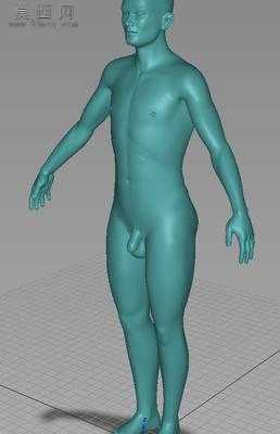 男人人体模型 3D模型