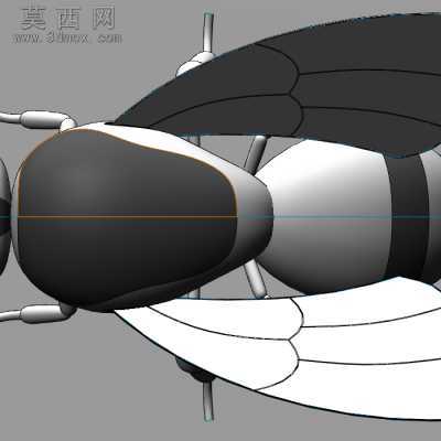 蜜蜂 三维图sw. 3D模型