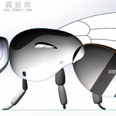 蜜蜂 三维图sw. 3D模型