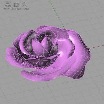 ����õ�廨 3Dģ��