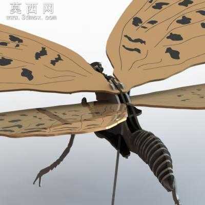 蝴蝶造型可3D打印 3D模型