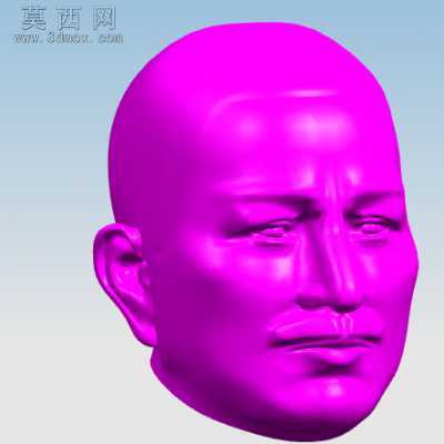 人体头部造型 3D模型