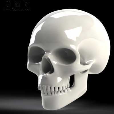 ͷ�� 3Dģ��