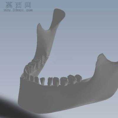�˵����� 3Dģ��