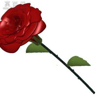 roseõ�廨 3Dģ��