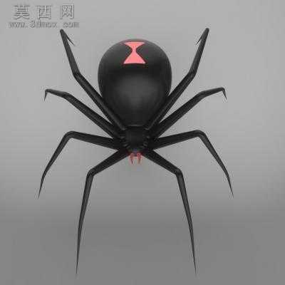 黑蜘蛛 3D模型