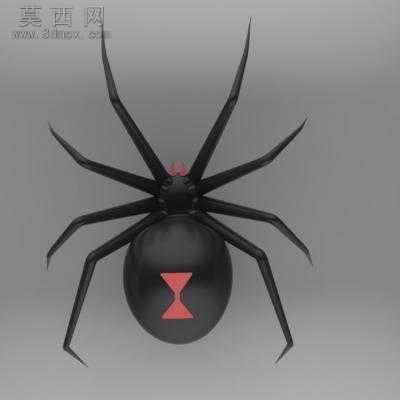 黑蜘蛛 3D模型