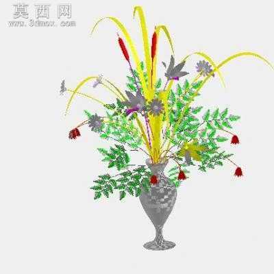 ���ݻ�ƿ 3Dģ��