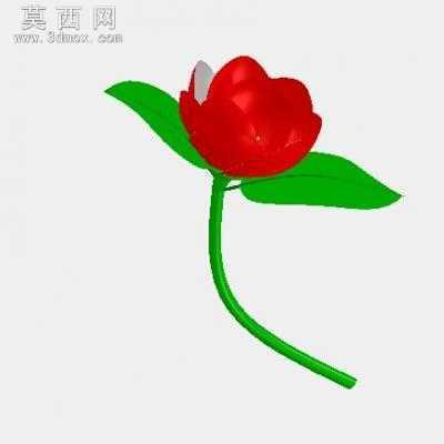 �컨��Ҷ 3Dģ��