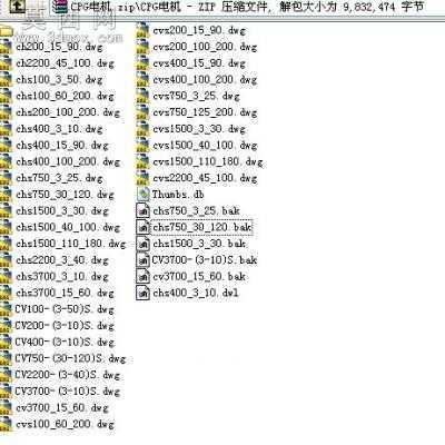 CPG城邦电机图纸 CAD图纸