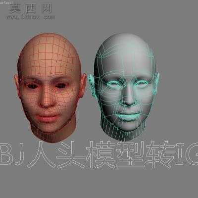 人头模型转IGS或STP格式 3D模型,MAX