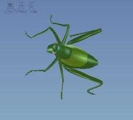 ���� 3Dģ��