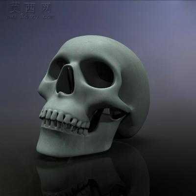 ͷ�� 3Dģ��