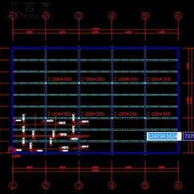 楼盖配筋 CAD图纸