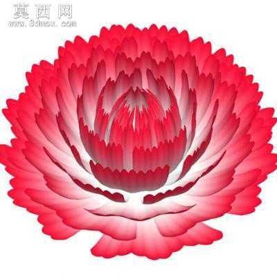大红花 3D模型