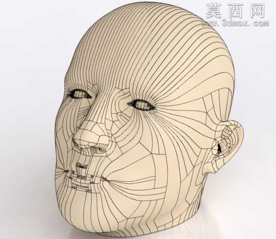 人的头部SW设计
