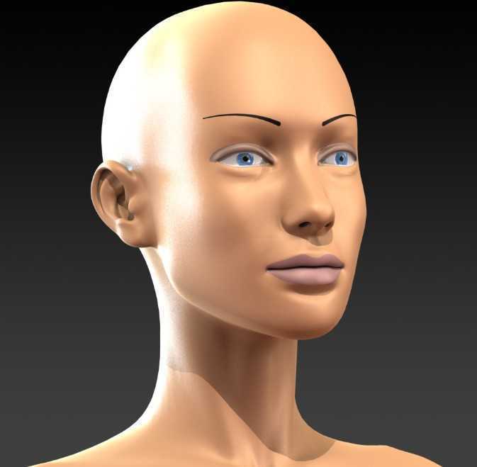 女性人头SW设计